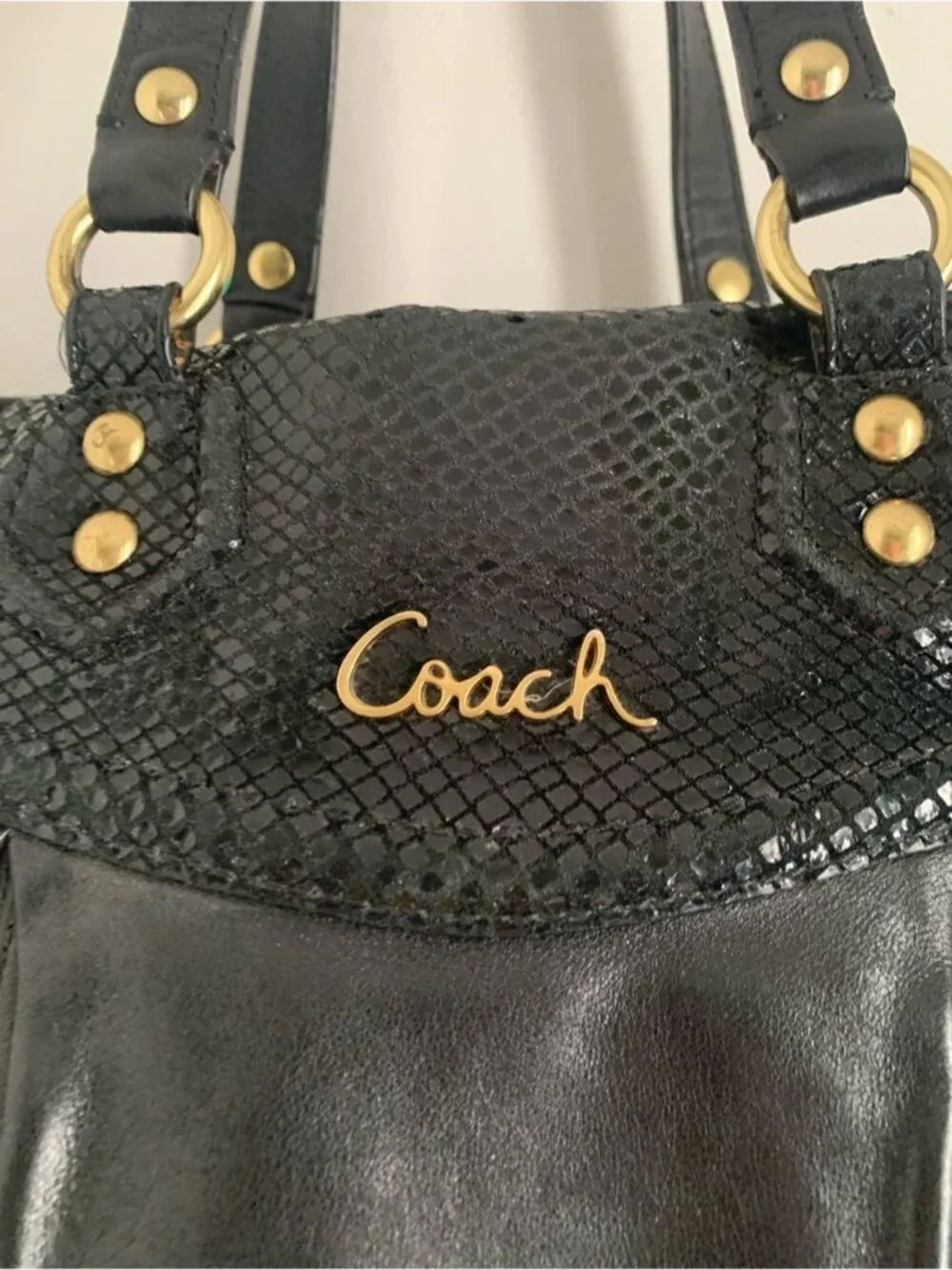 Coach F19243 Ashley Carryall Bag